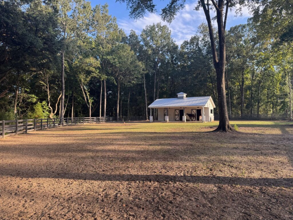 new horse stable